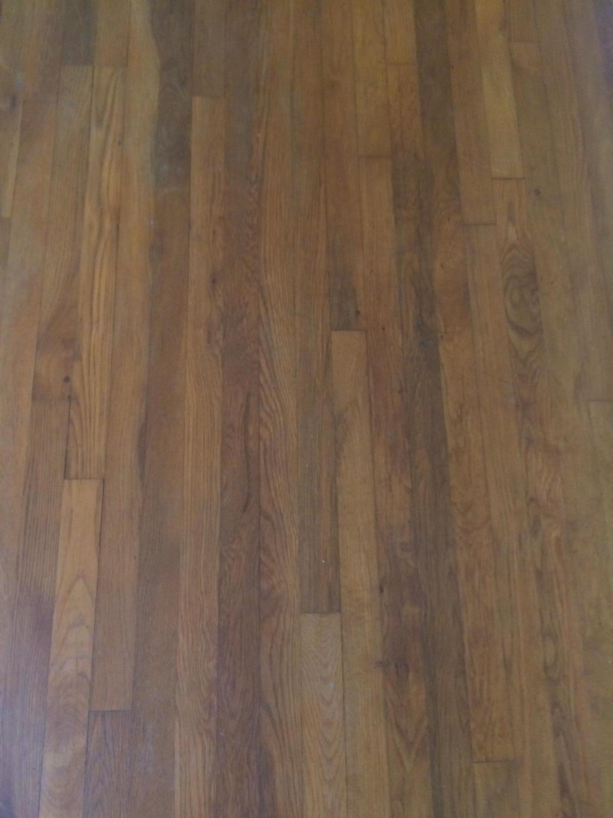 1054 Glendale Road White Bluff, TN 37187 - Photo 7 of 10 Gallery Image 7