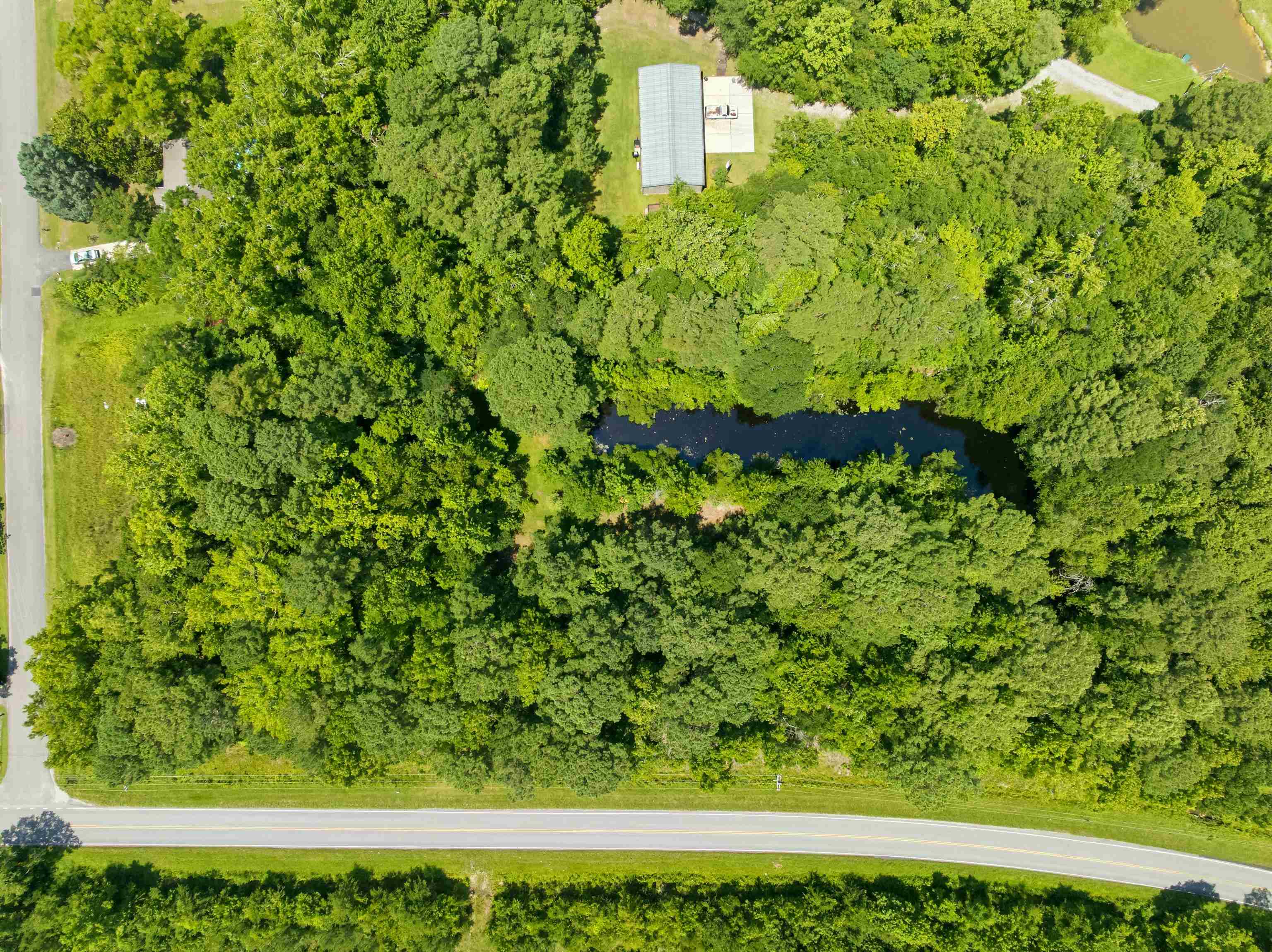 66 Highway 66 Conway, SC 29526 - Photo 11 of 21