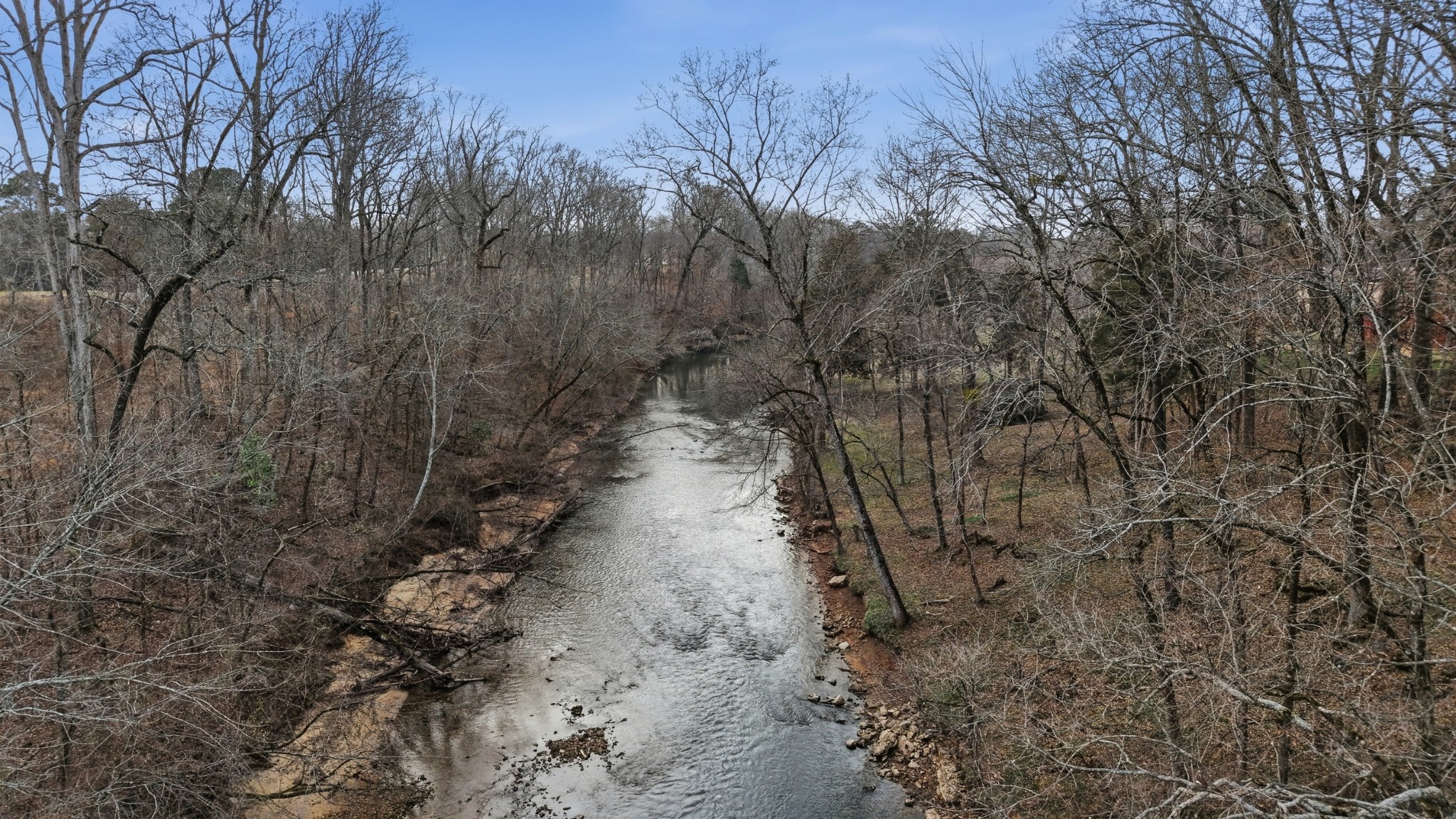 270 Wood Bluff Road Winchester, TN 37398 - Photo 49 of 55 a view of a yard with a tree