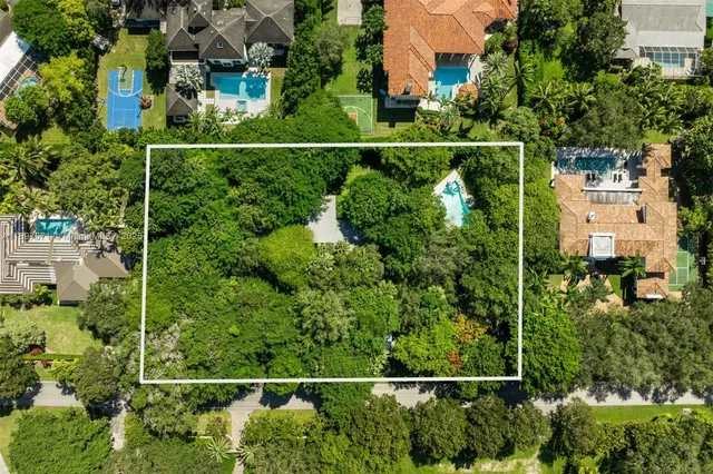 a view of a yard with a large trees