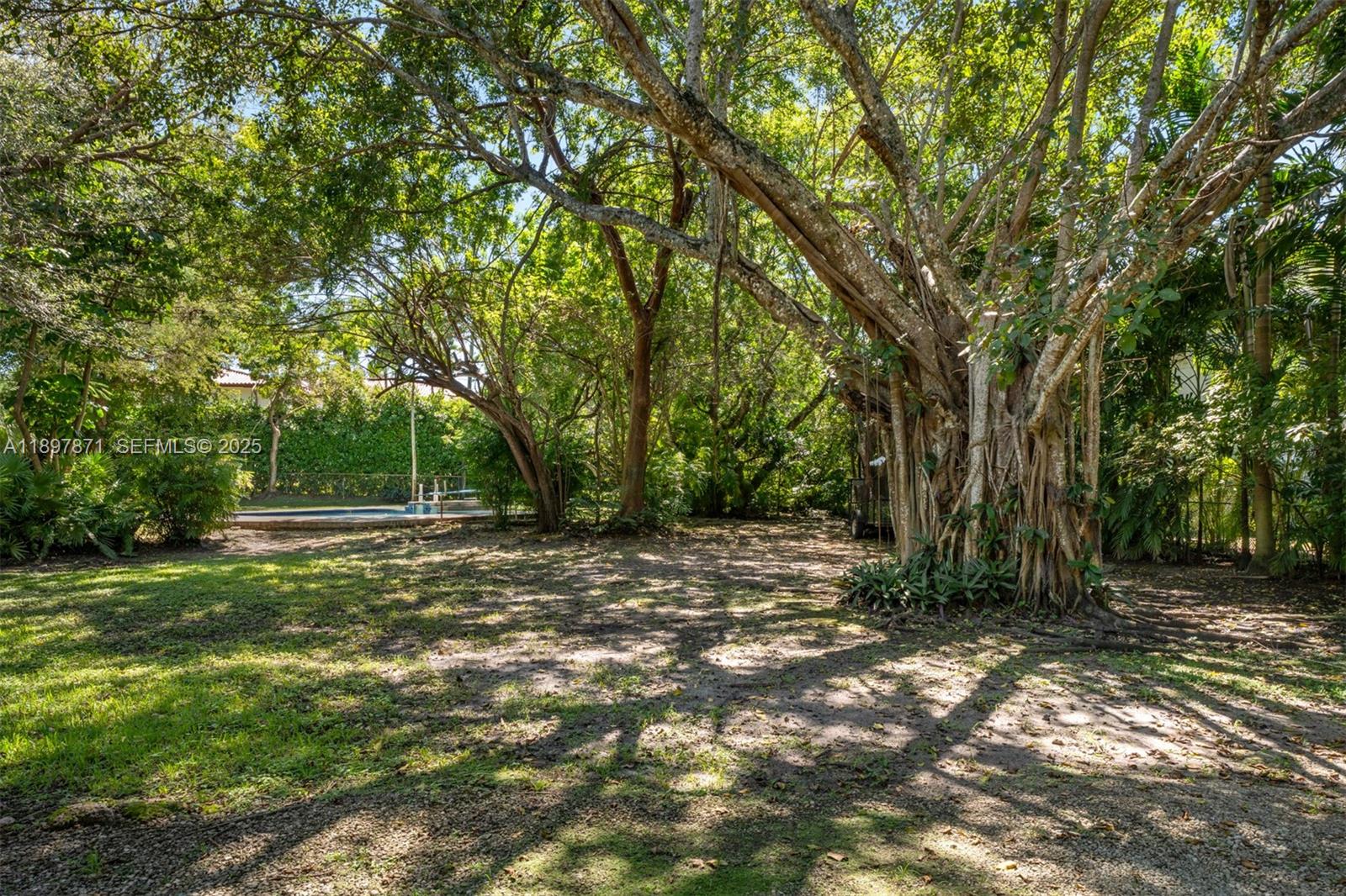 5950 Southwest 128th Street Pinecrest, FL 33156 - Photo 34 of 37 a view of a tree with a yard