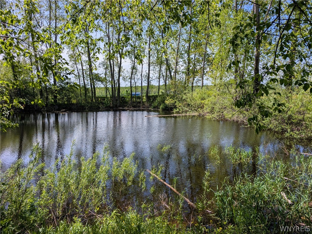 540 Shumway Road Sweden, NY 14420 - Photo 46 of 50