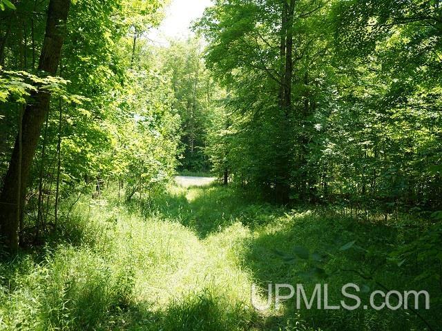 19110 West Diller Road Germfask, MI 49836 - Photo 23 of 28