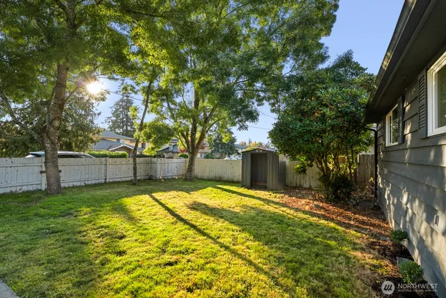 a view of backyard with tree