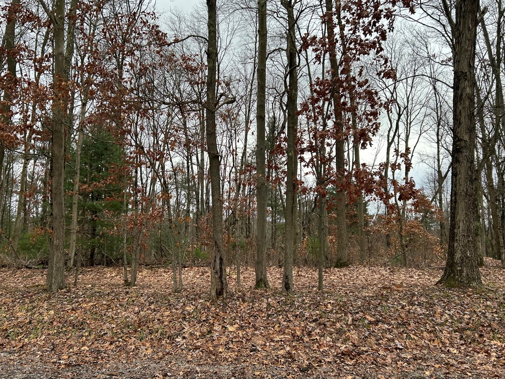 . Pine Terrace Road Shippenville, PA 16254 - Photo 3 of 8 a backyard of a house with lots of trees