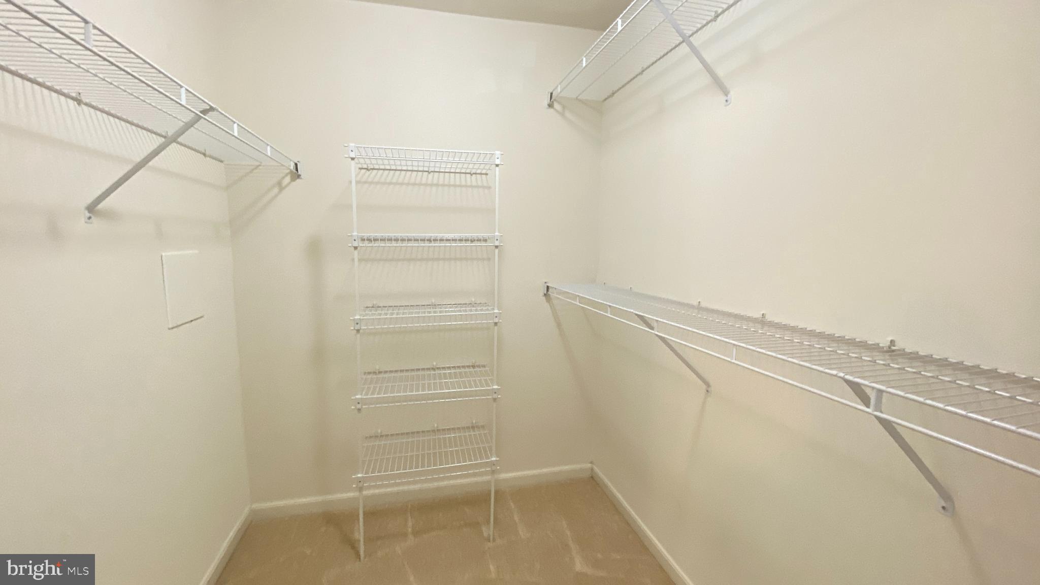 8231 Ramseur Place Manassas, VA 20109 - Photo 10 of 16 a view of walk in closet with empty racks