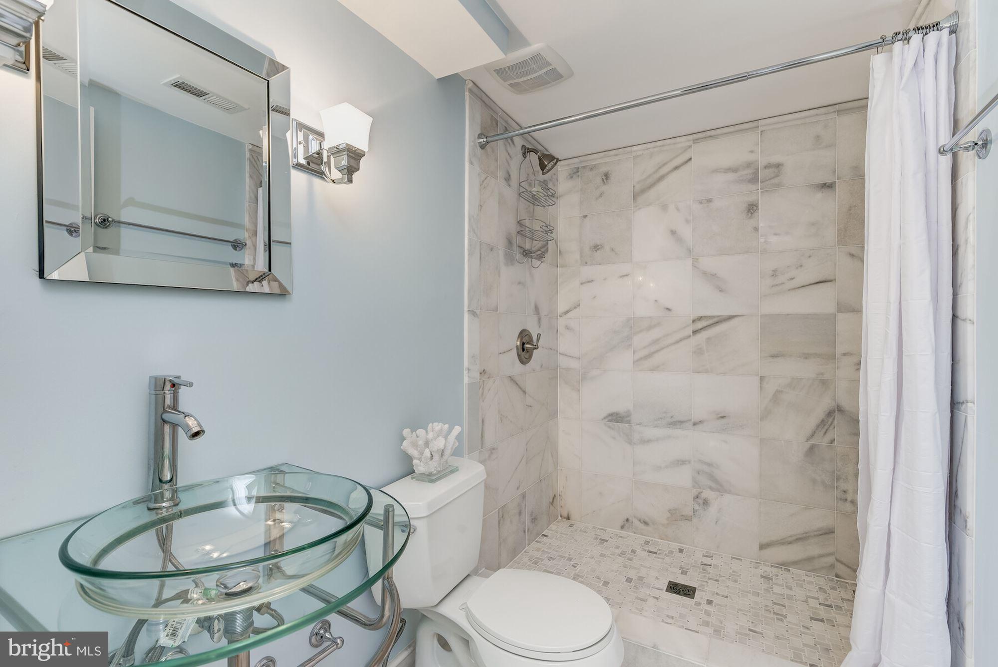 5800 Highland Drive Chevy Chase, MD 20815 - Photo 42 of 51 Lower Level Ensuite Bathroom