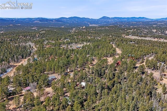 391 Kutsu Ridge Road Florissant, CO 80816 - Photo 48 of 50 Gallery Image 48