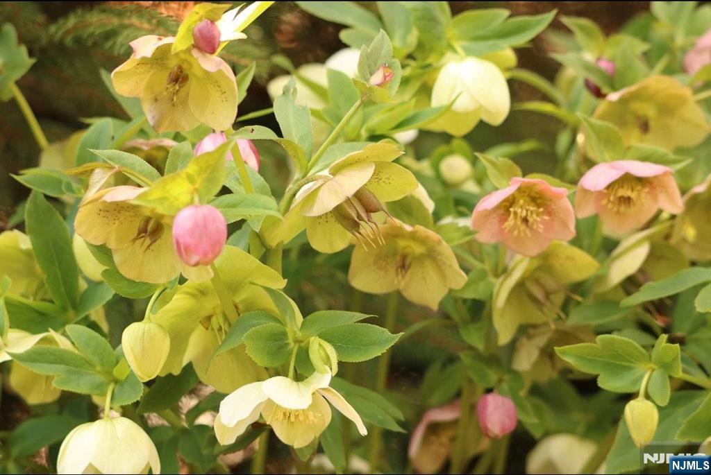 398 Grove Street Montclair, NJ 07043 - Photo 35 of 48