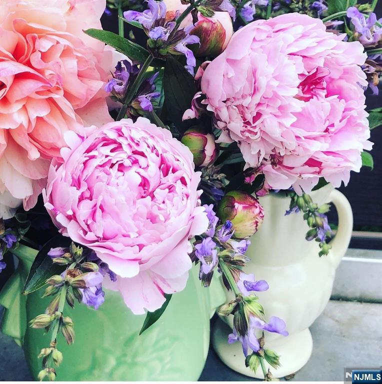 398 Grove Street Montclair, NJ 07043 - Photo 37 of 48