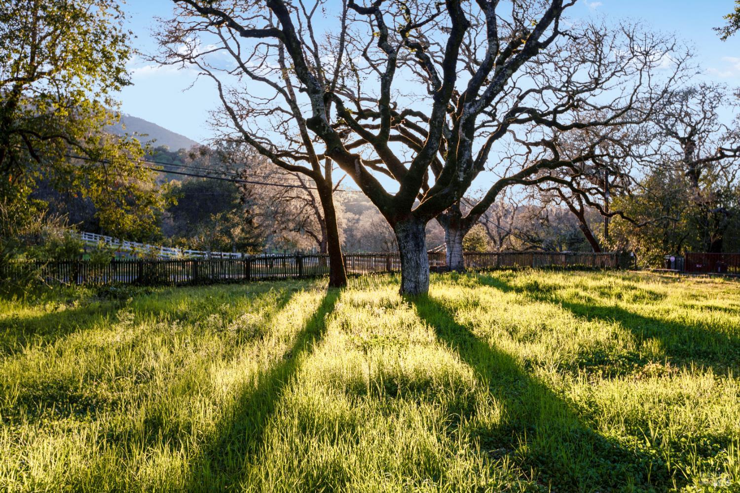 3820 Warm Springs Road Glen Ellen, CA 95442 - Photo 49 of 49