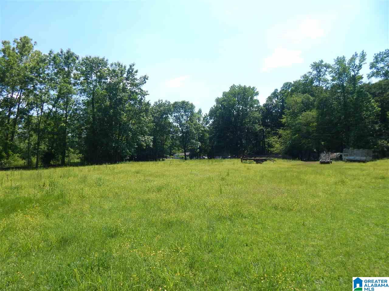 417 Old Stagecoach Road Woodstock, AL 35188 - Photo 11 of 17