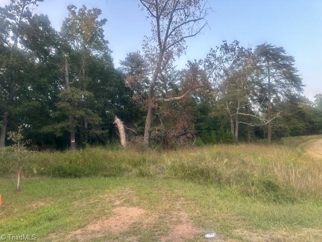 Lot 3 Charlie Francis Road Sandy Ridge, NC 27046 - Photo 1 of 7