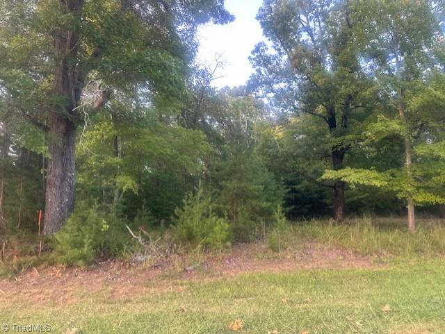 Lot 3 Charlie Francis Road Sandy Ridge, NC 27046 - Photo 3 of 7