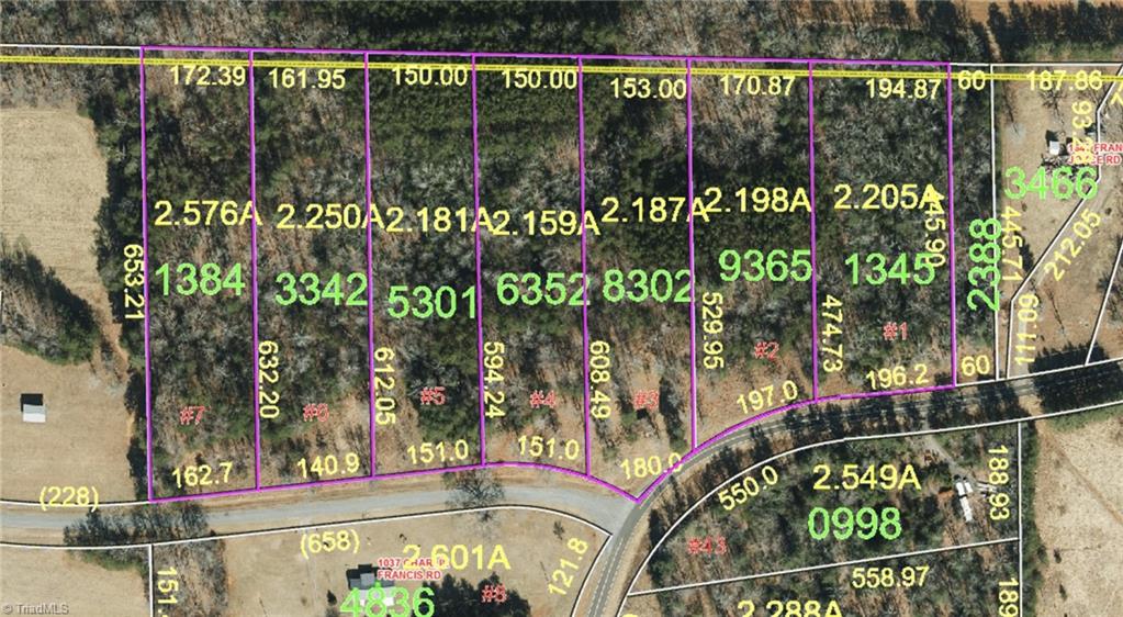 Lot 3 Charlie Francis Road Sandy Ridge, NC 27046 - Photo 6 of 7