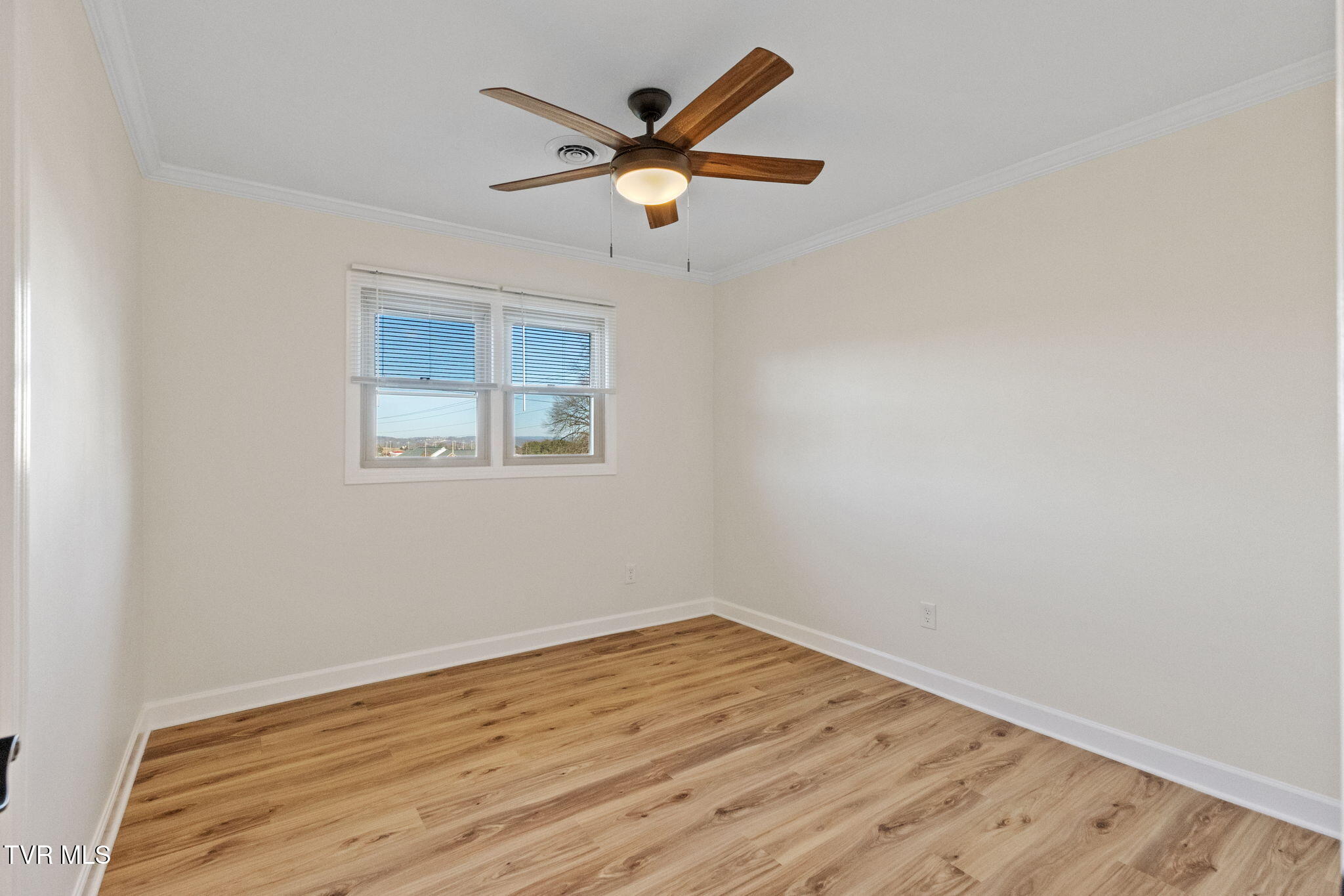 350 Boonesboro Road Gray, TN 37615 - Photo 4 of 23 4-web-or-mls-217A4936