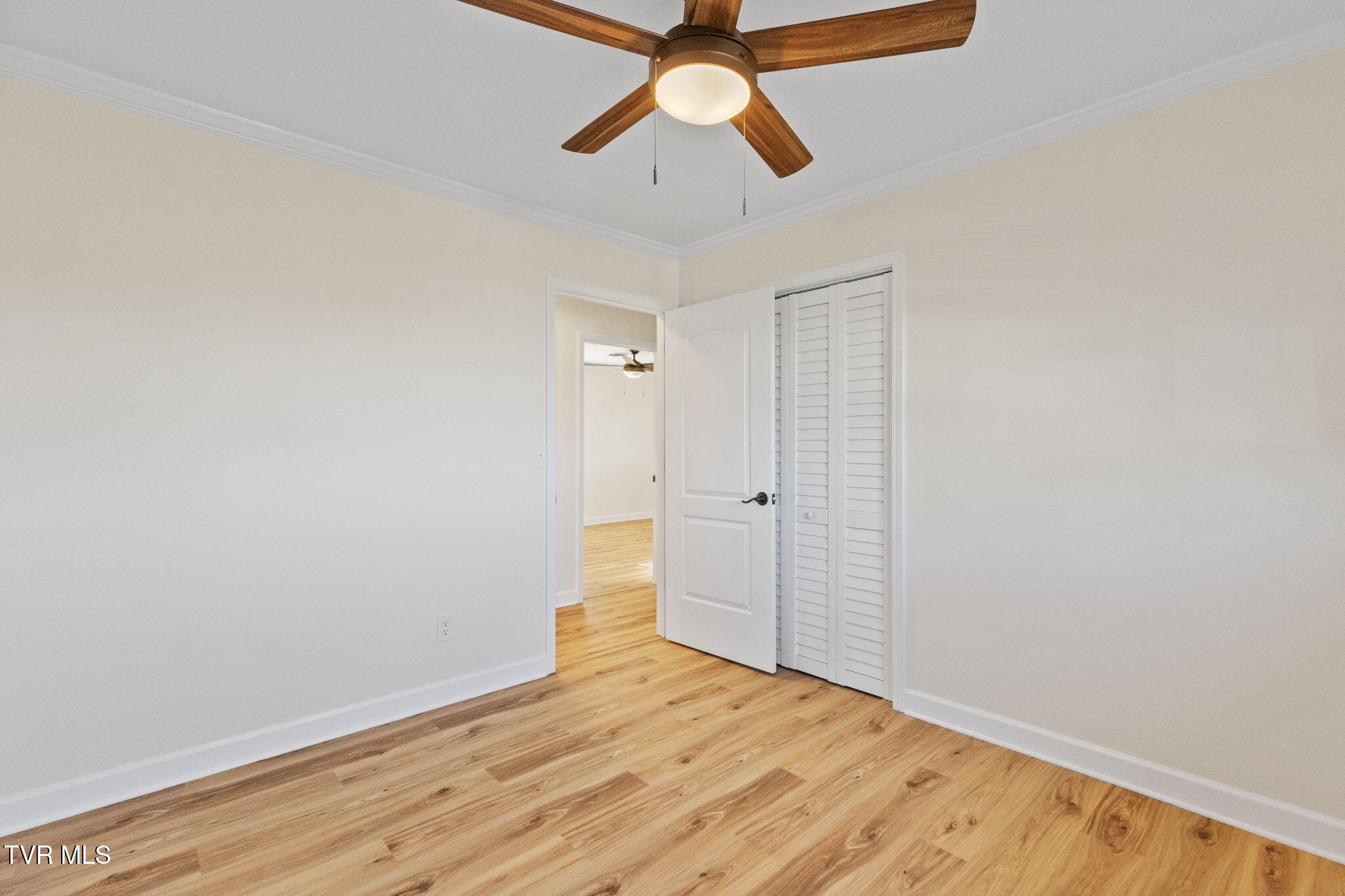 350 Boonesboro Road Gray, TN 37615 - Photo 5 of 23 5-web-or-mls-217A4941