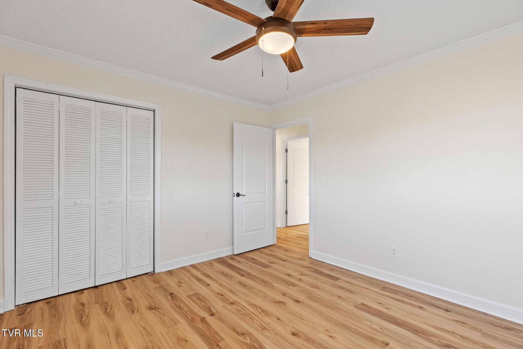 350 Boonesboro Road Gray, TN 37615 - Photo 7 of 23 7-web-or-mls-217A4951