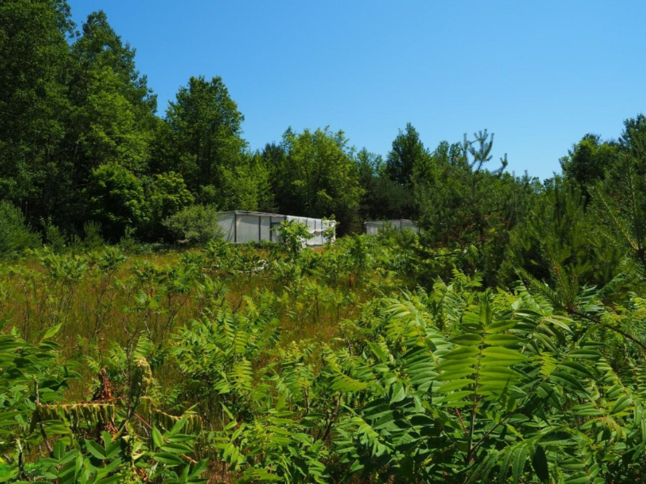 6201 Swamp Road Frankfort, MI 49635 - Photo 23 of 38 P7030731 (Custom)