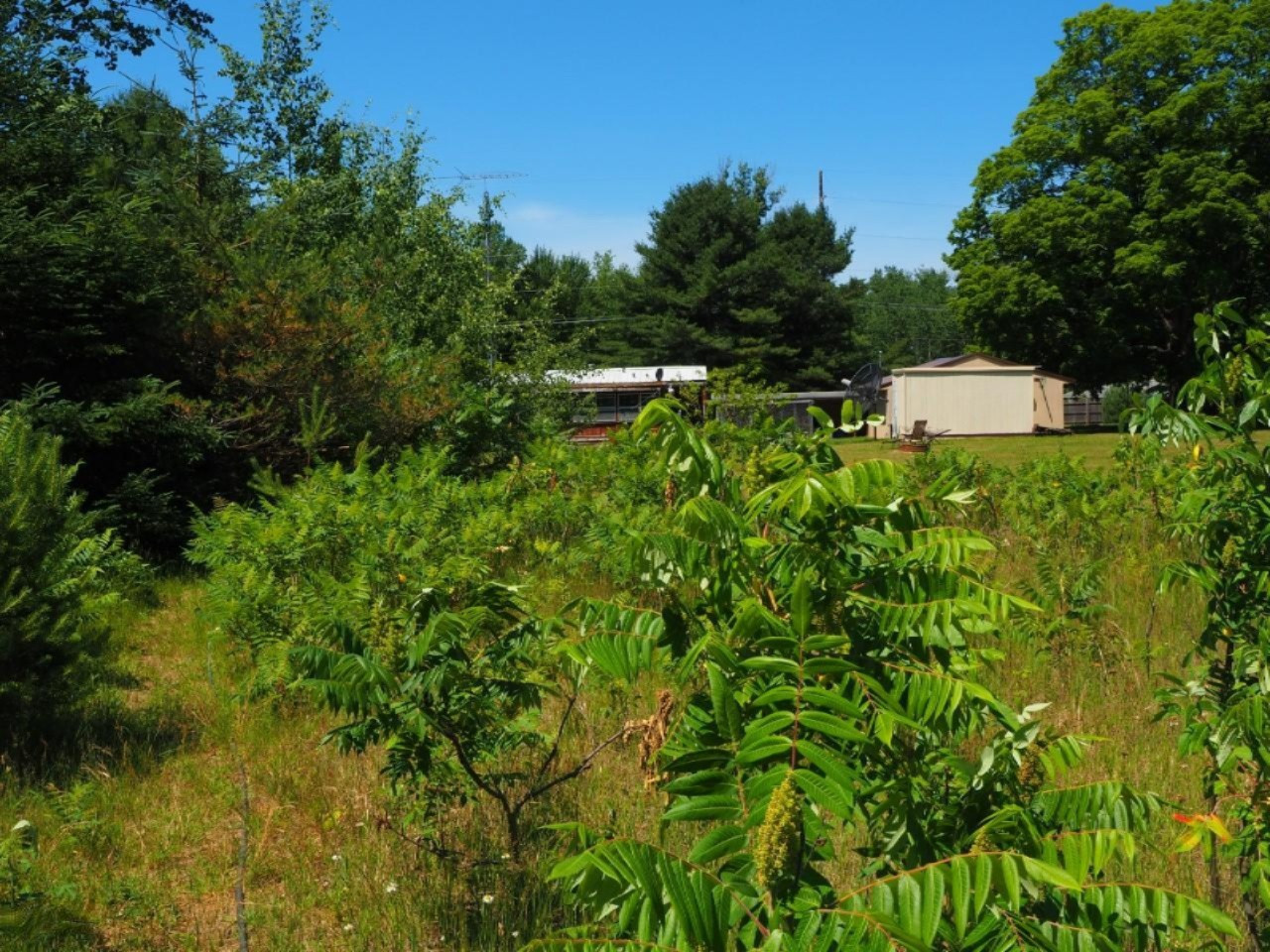 6201 Swamp Road Frankfort, MI 49635 - Photo 26 of 38 P7030735 (Custom)