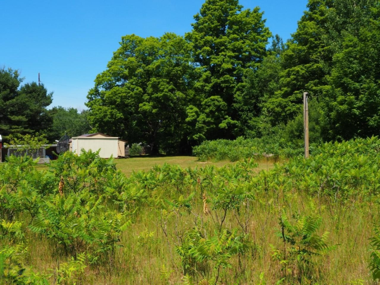 6201 Swamp Road Frankfort, MI 49635 - Photo 27 of 38 P7030736 (Custom)