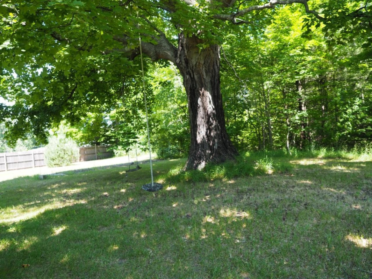 6201 Swamp Road Frankfort, MI 49635 - Photo 35 of 38 P7030777 (Custom)