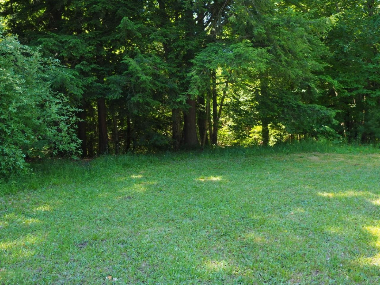 6201 Swamp Road Frankfort, MI 49635 - Photo 4 of 38 P7030741 (Custom)