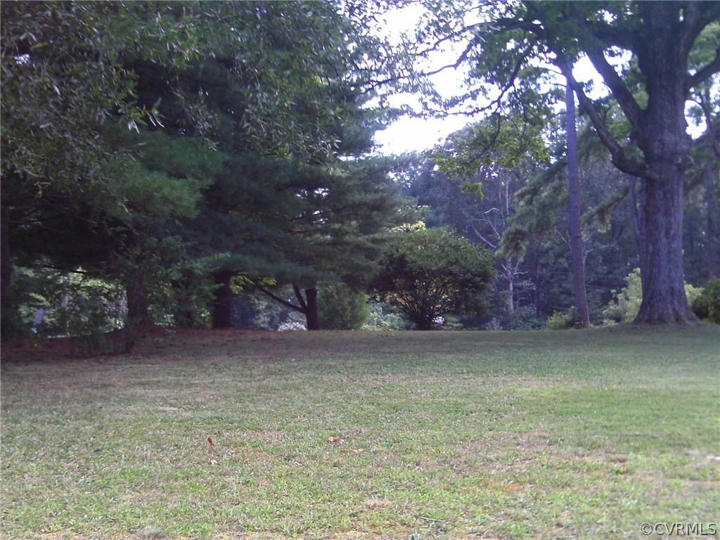 343 Raines Tavern Road Farmville, VA 23901 - Photo 29 of 35