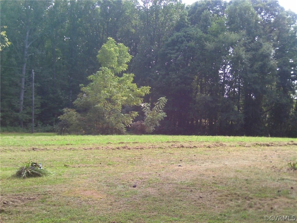 343 Raines Tavern Road Farmville, VA 23901 - Photo 30 of 35