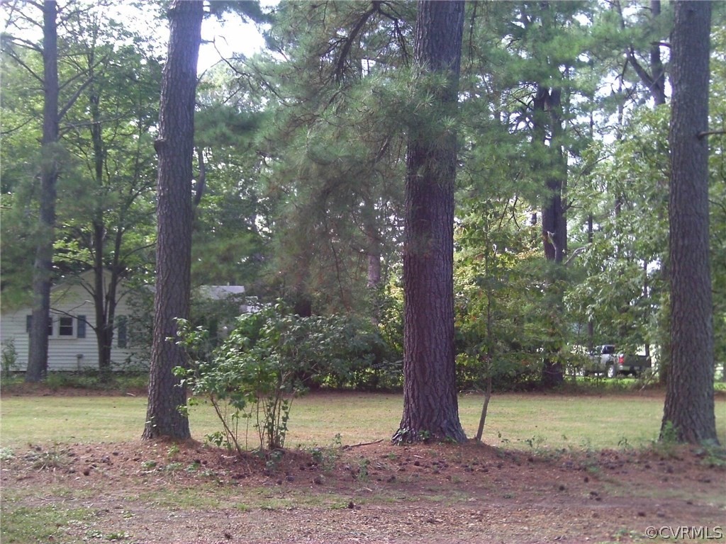 343 Raines Tavern Road Farmville, VA 23901 - Photo 32 of 35