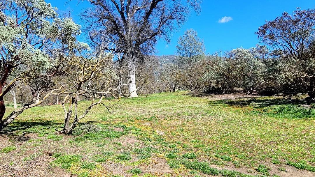 33155 Sycamore Road Tollhouse, CA 93667 - Photo 12 of 12 Gallery Image 12