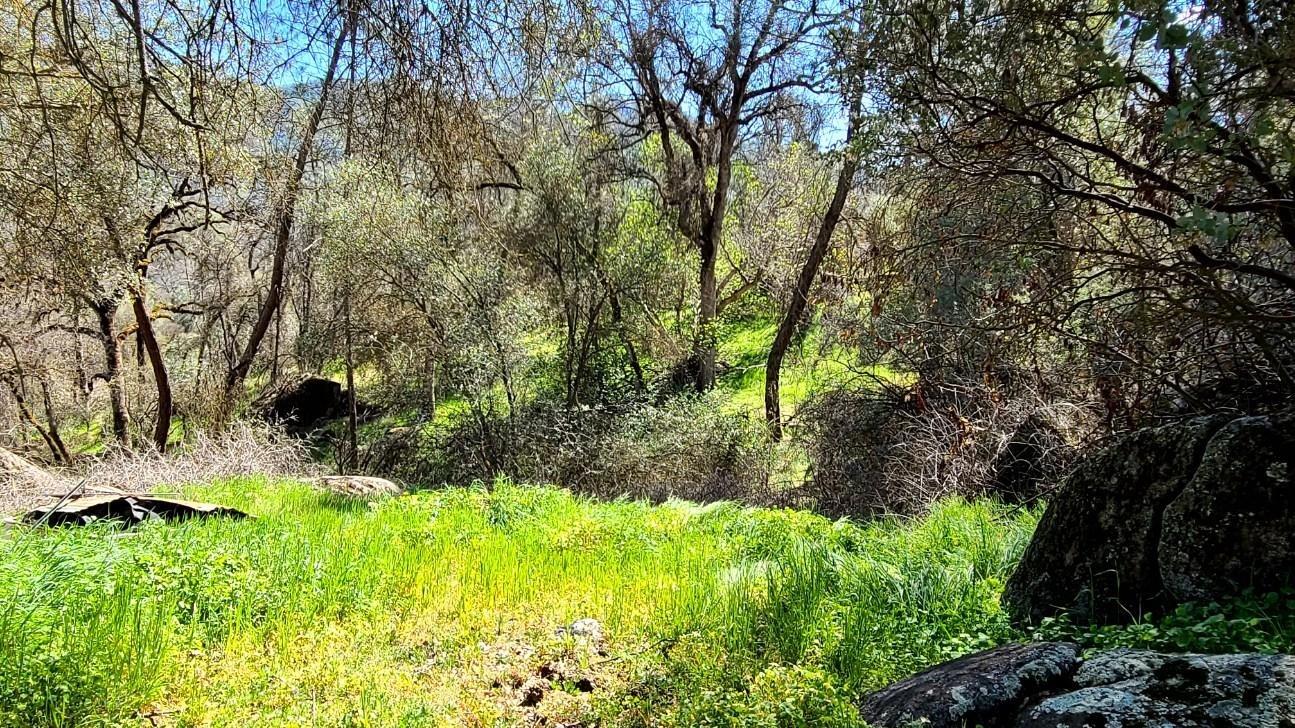 33155 Sycamore Road Tollhouse, CA 93667 - Photo 8 of 12 Gallery Image 8