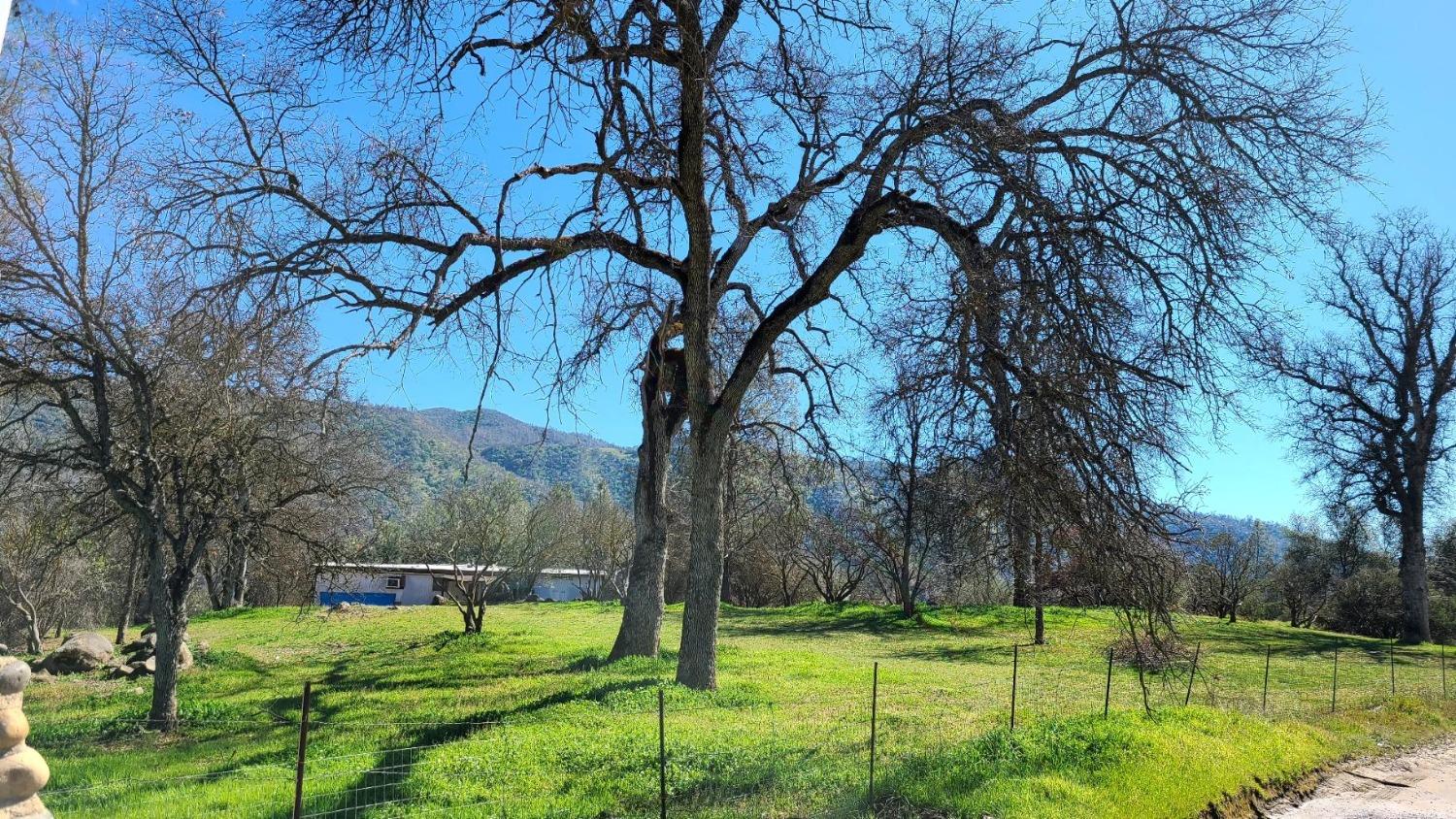 33155 Sycamore Road Tollhouse, CA 93667 - Photo 9 of 12 Gallery Image 9