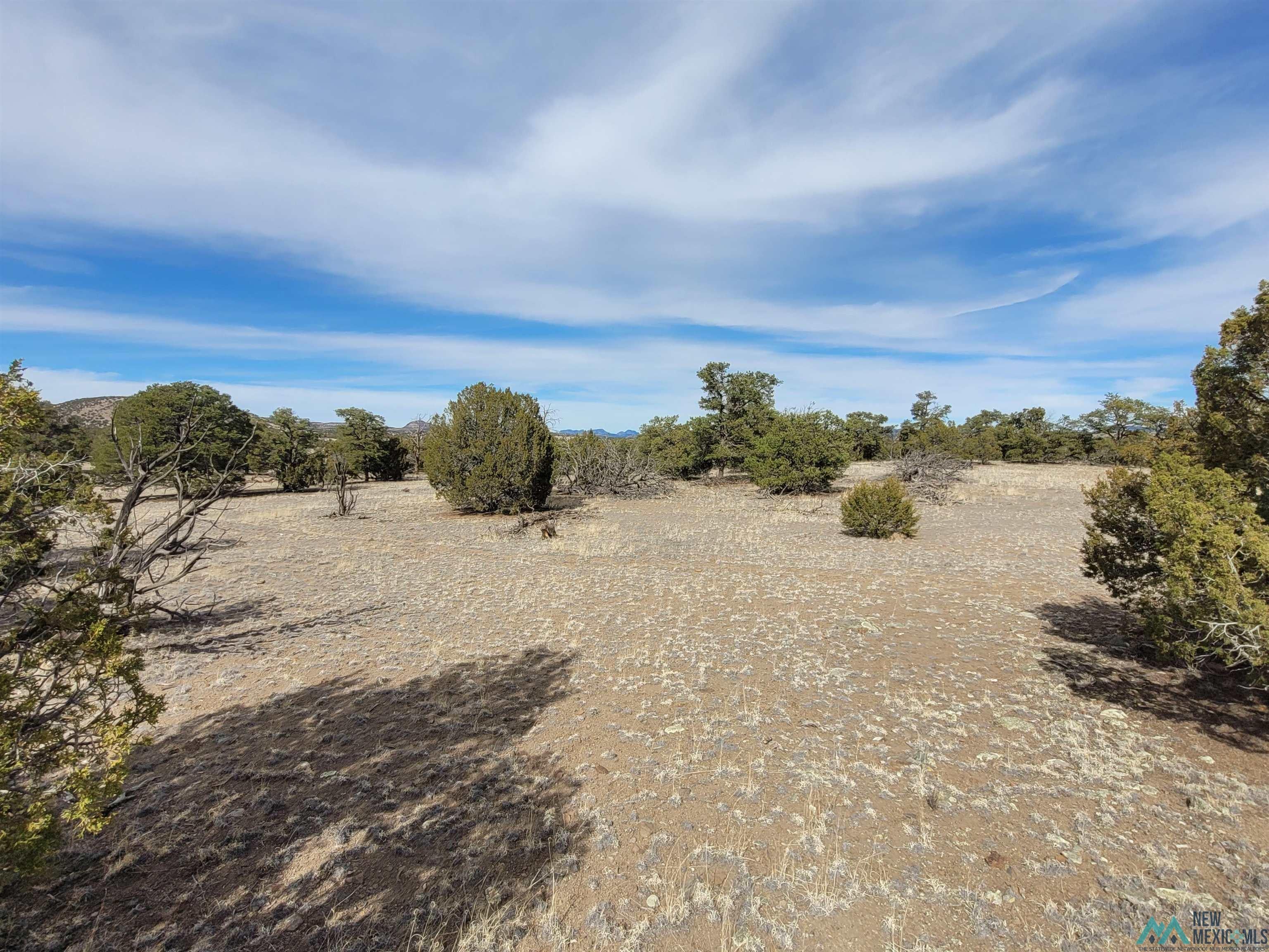 47 Cougar Run Datil, NM 87821 - Photo 27 of 38 Gallery Image 27