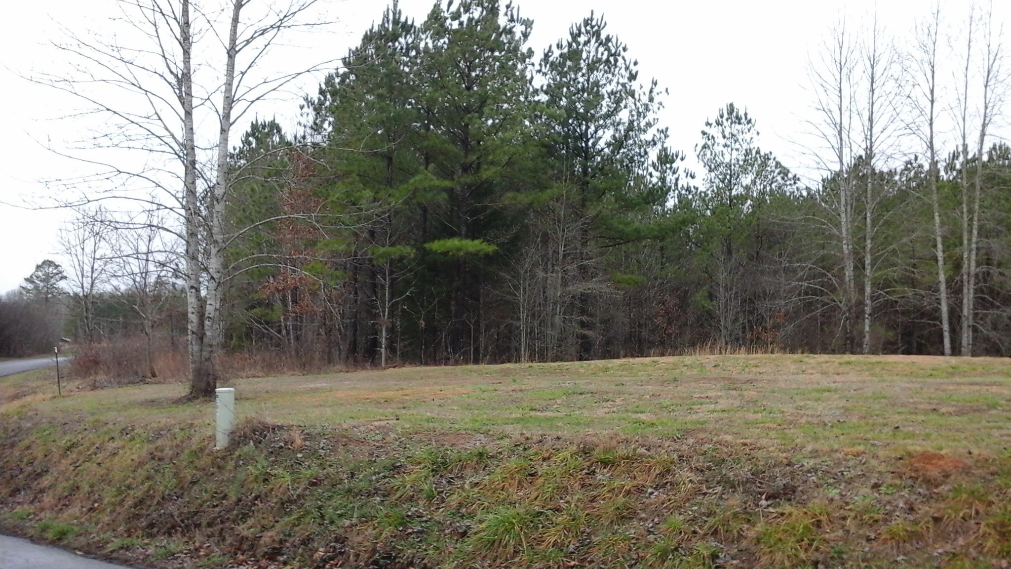 1322 Co Road Athens, TN 37303 - Photo 3 of 4 Gallery Image 3