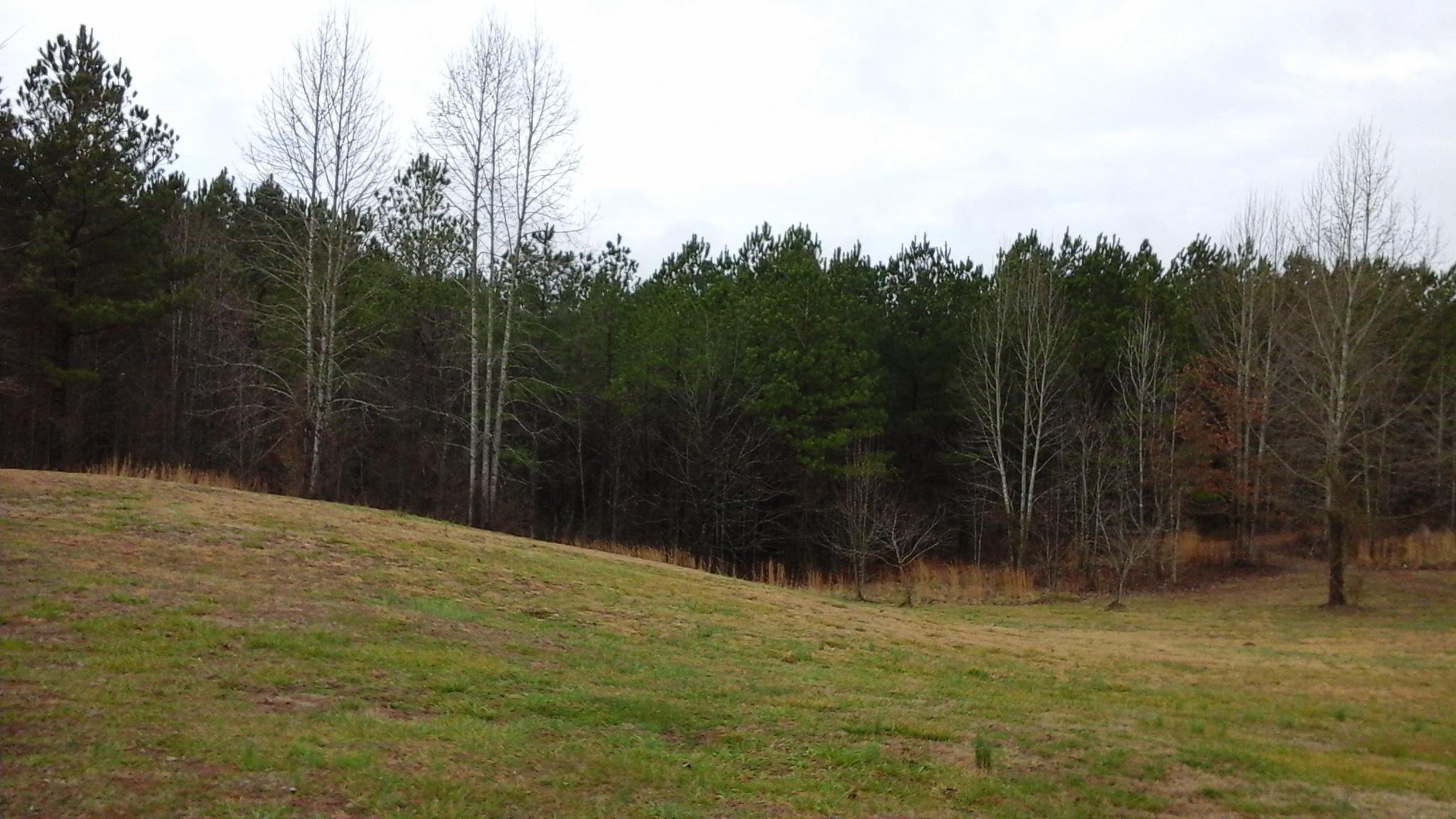 1322 Co Road Athens, TN 37303 - Photo 4 of 4 Gallery Image 4