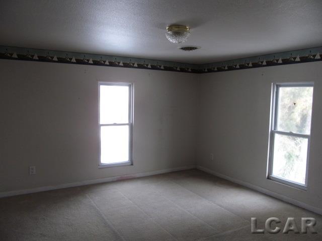 6997 Ridge Highway Britton, MI 49229 - Photo 3 of 13