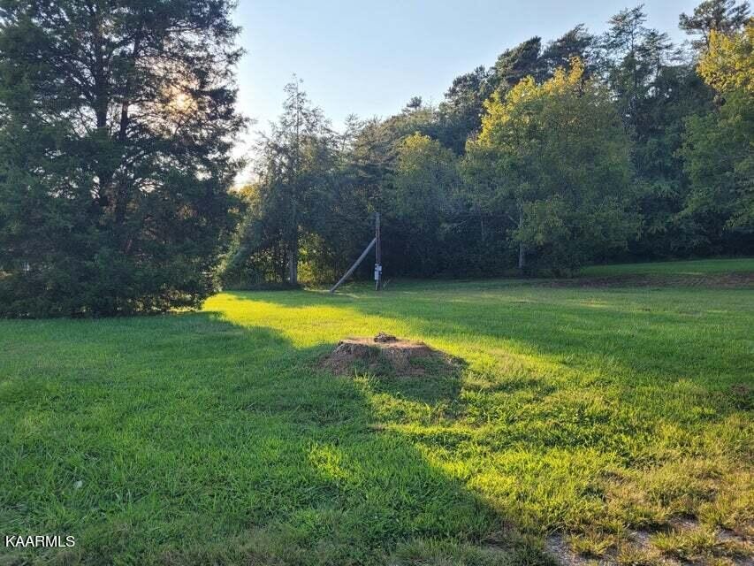 715 Deaderick Road Knoxville, TN 37920 - Photo 6 of 22 Gallery Image 6