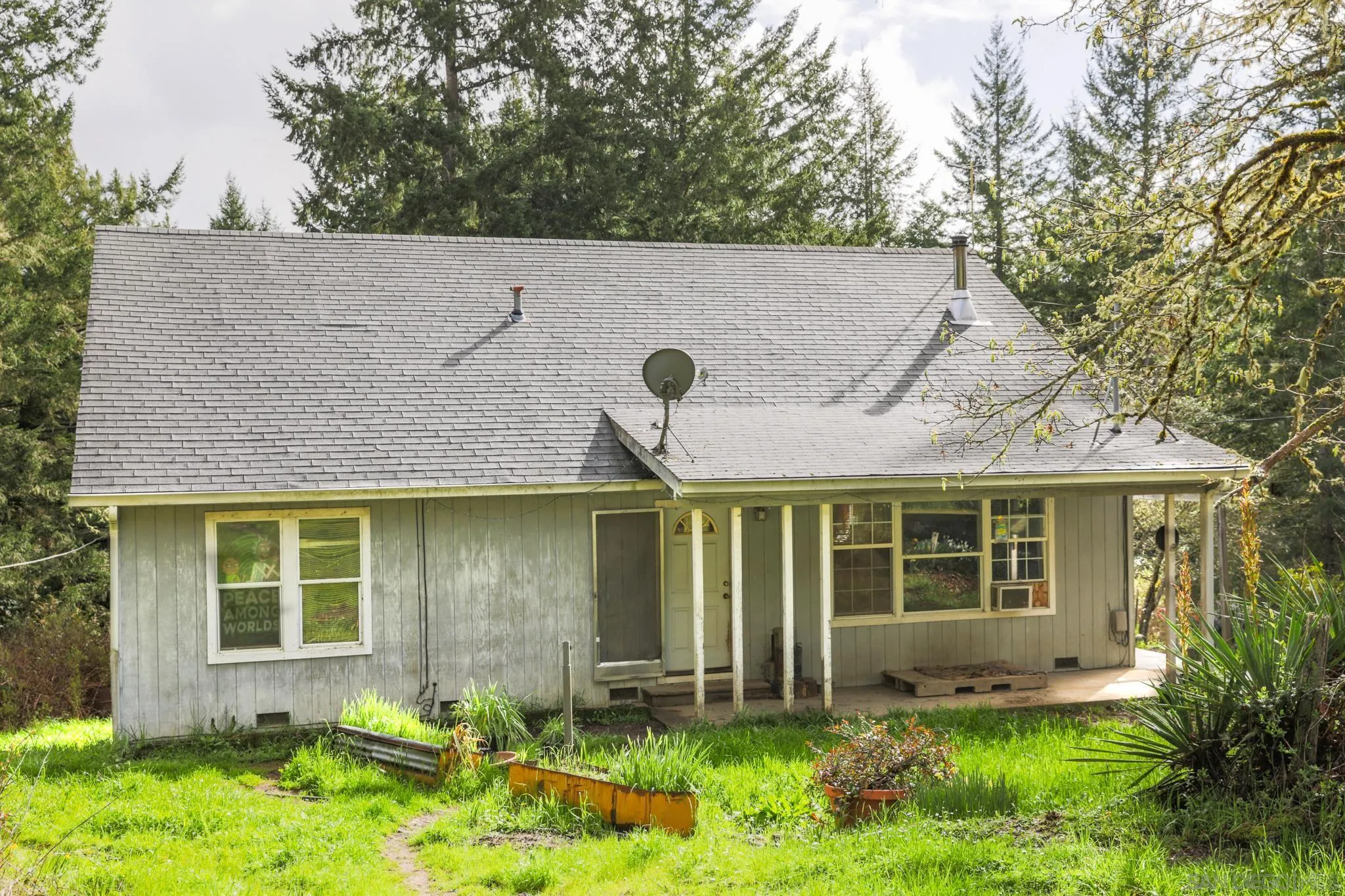 9897 Dyerville Loop Road Myers Flat, CA 95554 - Photo 2 of 24 a view of a house with a yard and plants