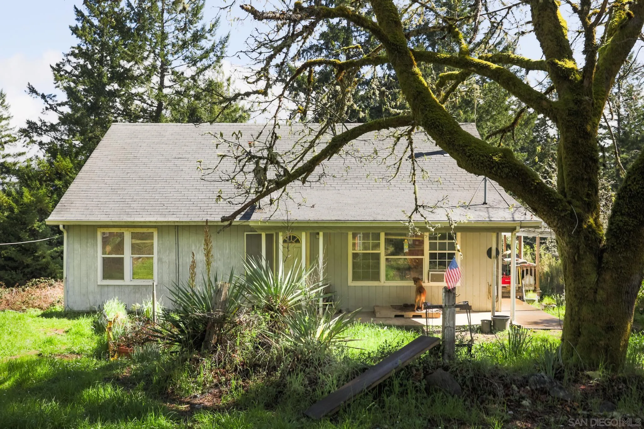 9897 Dyerville Loop Road Myers Flat, CA 95554 - Photo 4 of 24 a view of a house with a yard