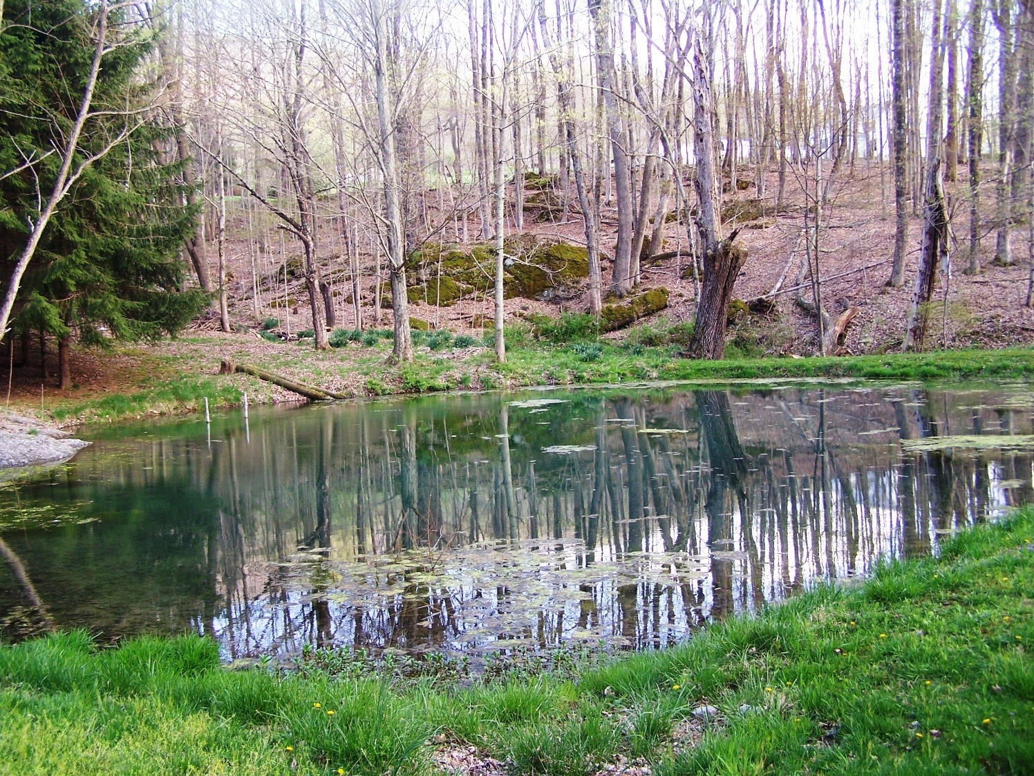 2327 Back Valley Road Lindside, WV 24951 - Photo 13 of 25 Gallery Image 13