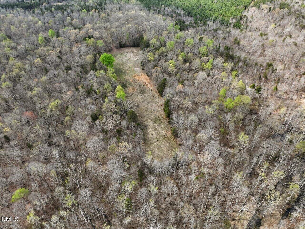 7793 Ridgeville Road Leasburg, NC 27291 - Photo 40 of 91