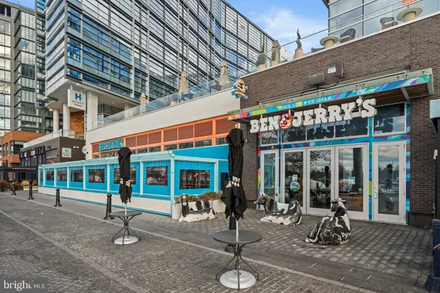 an outdoor space with lots of tall trees