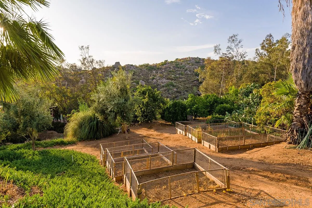 14316 High Valley Road Poway, CA 92064 - Photo 22 of 32 a view of a tennis ground with large trees