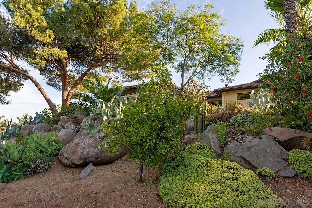 14316 High Valley Road Poway, CA 92064 - Photo 23 of 32 a view of a garden with plants and large trees