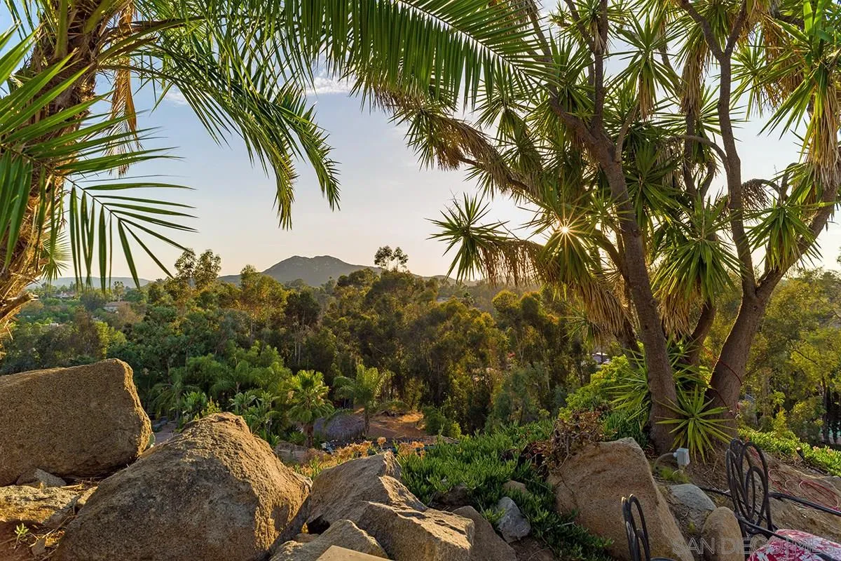 14316 High Valley Road Poway, CA 92064 - Photo 29 of 32 a view of a backyard