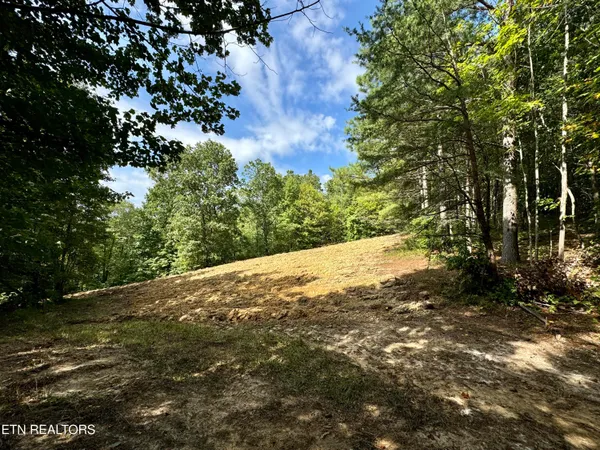$5,575,000 | Stinking Creek Road, Pioneer, TN 37847