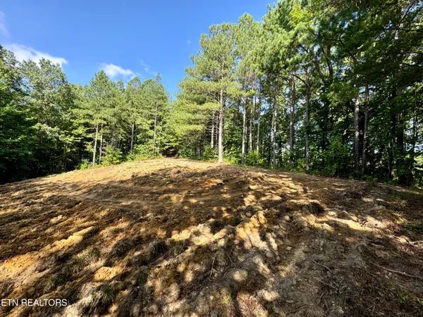$5,575,000 | Stinking Creek Road, Pioneer, TN 37847