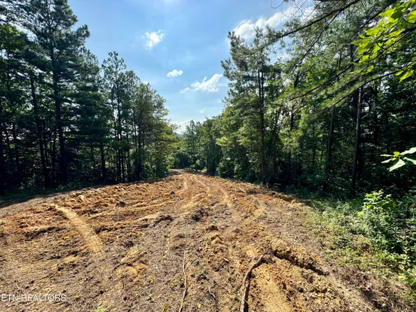 $5,575,000 | Stinking Creek Road, Pioneer, TN 37847