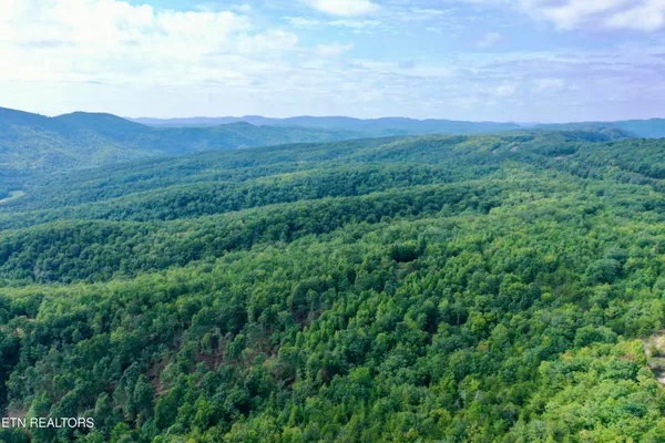 $5,575,000 | Stinking Creek Road, Pioneer, TN 37847
